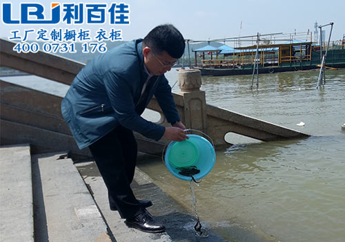 放生有感——利百佳帶您放飛夢想，領悟生活